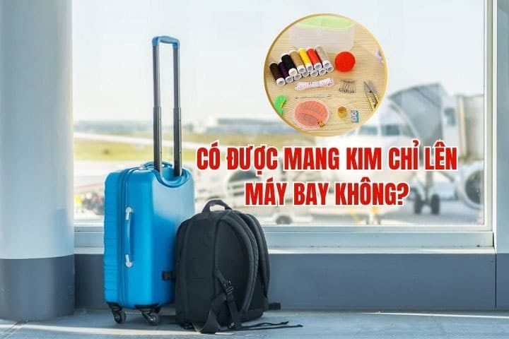 Co duoc mang kim chi len may bay khong